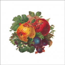 Vintage Fruit 199 by DP Art Ceramic Accent & Decor Tile AFR199AT