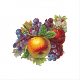Vintage Fruit 210 by DP Art Ceramic Accent & Decor Tile AFR210AT
