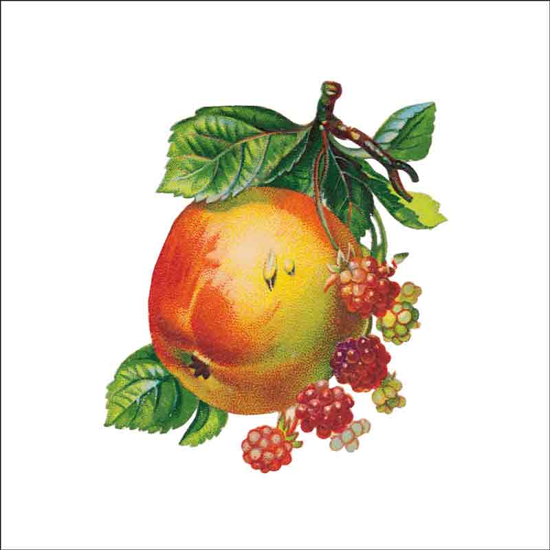 Vintage Fruit 283 by DP Art Ceramic Accent & Decor Tile AFR283AT