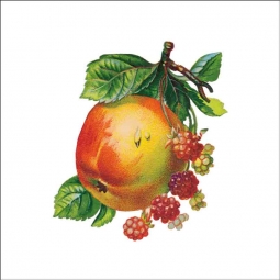 Vintage Fruit 283 by DP Art Ceramic Accent & Decor Tile AFR283AT