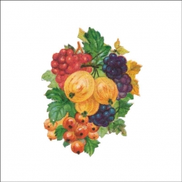 Vintage Fruit 287 by DP Art Ceramic Accent & Decor Tile AFR287AT