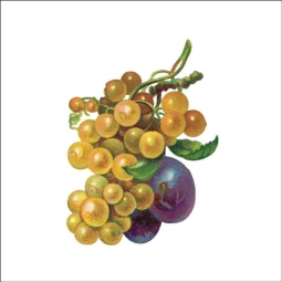 Vintage Fruit 293 by DP Art Ceramic Accent & Decor Tile AFR293AT