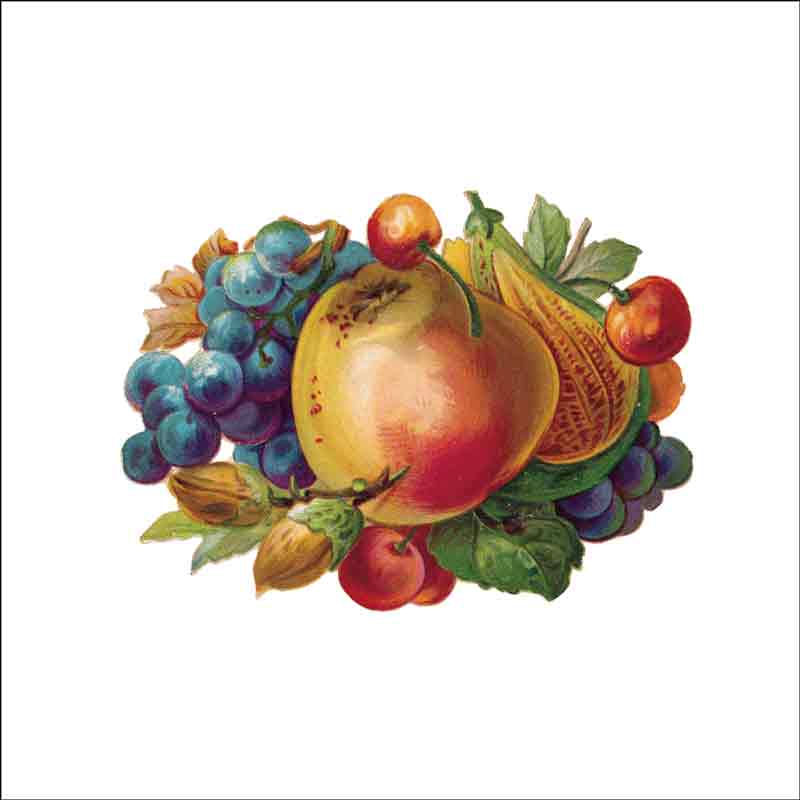 Vintage Fruit 305 by DP Art Ceramic Accent & Decor Tile AFR305AT