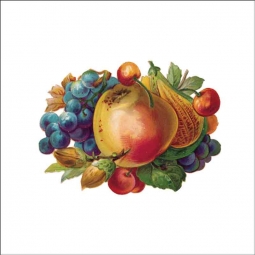 Vintage Fruit 305 by DP Art Ceramic Accent & Decor Tile AFR305AT