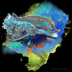 Dolphin by Jim Baldwin Accent & Decor Tile BC-JB05AT