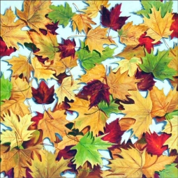 Feeling Rakish by Beaman Cole Ceramic Accent & Decor Tile - BCA007AT
