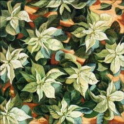 Points of White by Beaman Cole Ceramic Accent & Decor Tile - BCA008AT