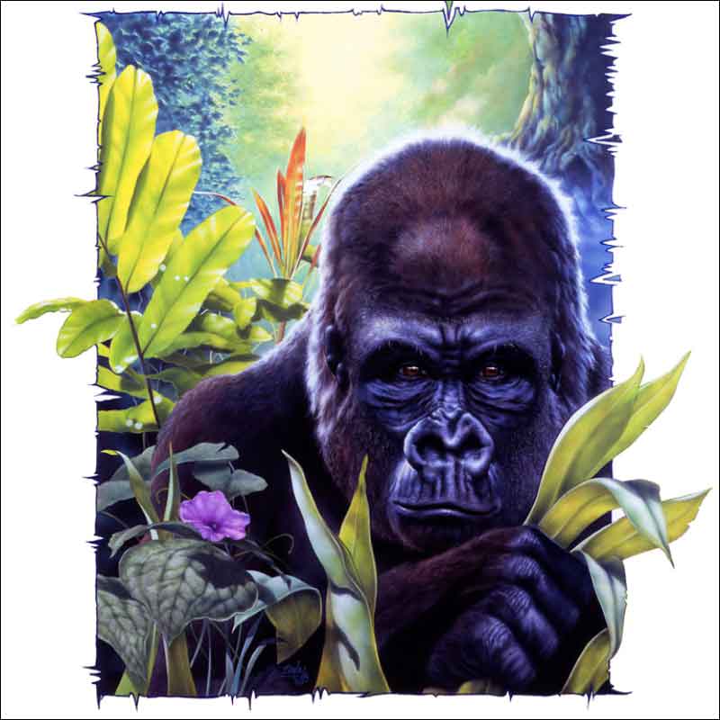 King Kong by Bruce Eagle Ceramic Accent & Decor Tile - BEA022AT