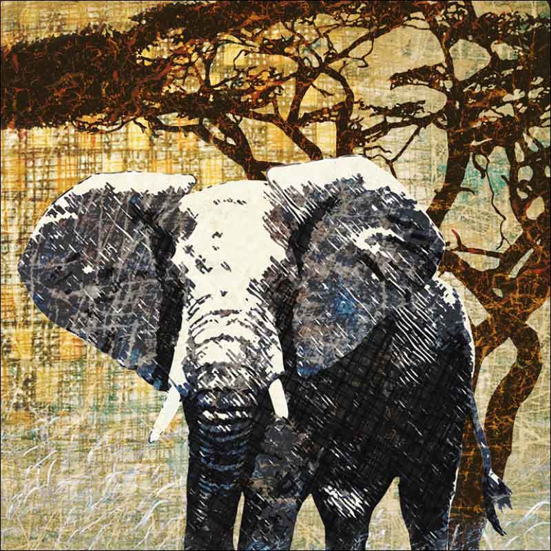 Wild Savannah - Elephant by Aurelia Manouvrier Ceramic Accent & Decor Tile - CCI-AM-WS03AT