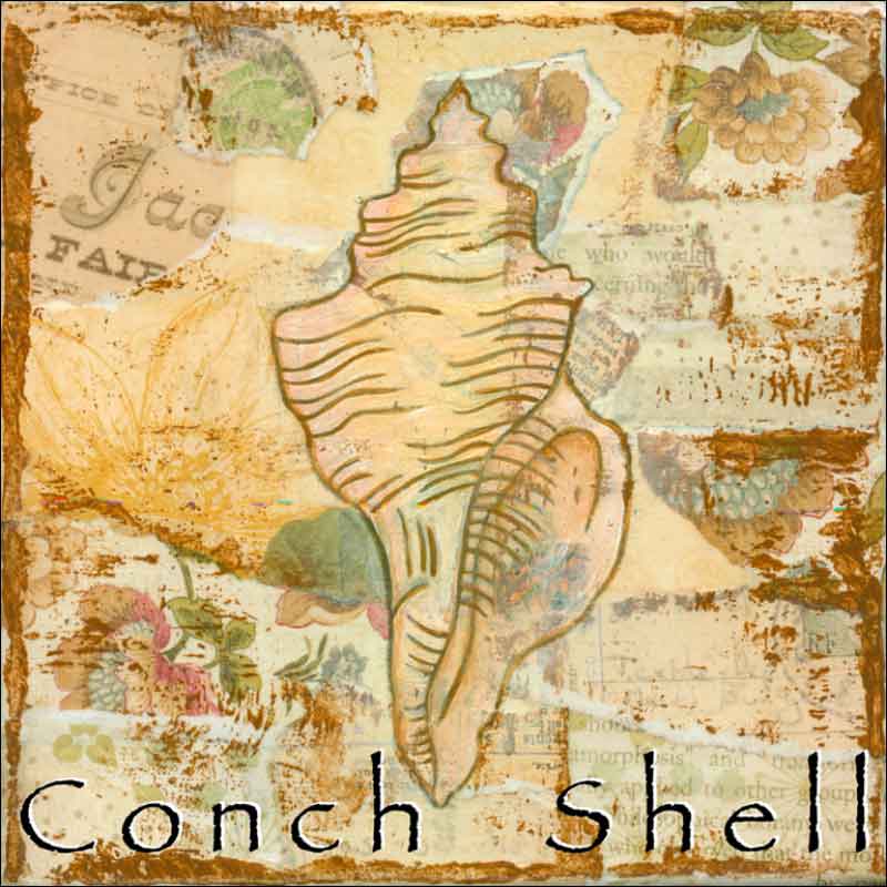 Sea Life: Conch Shell by Bridget McKenna Ceramic Accent & Decor Tile - CCI-BRI251AT