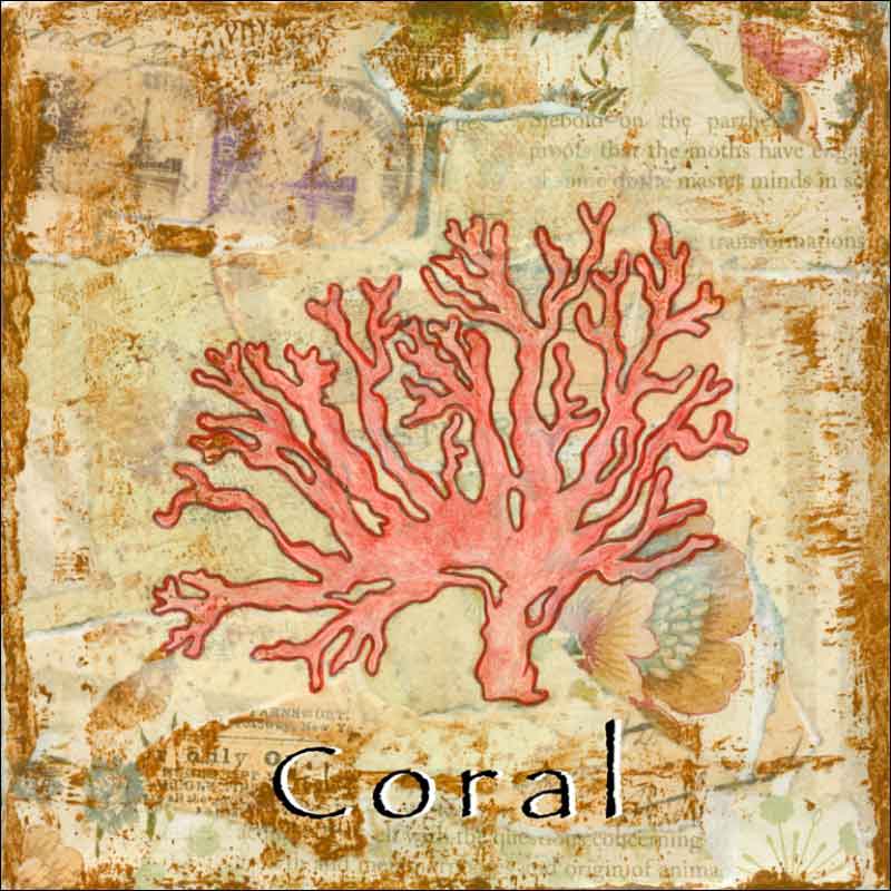 Sea Life: Coral by Bridget McKenna Ceramic Accent & Decor Tile - CCI-BRI252AT