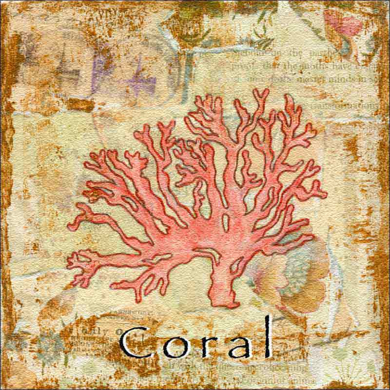 Sea Life: Coral by Bridget McKenna Floor Accent Tile - CCI-BRI252AT