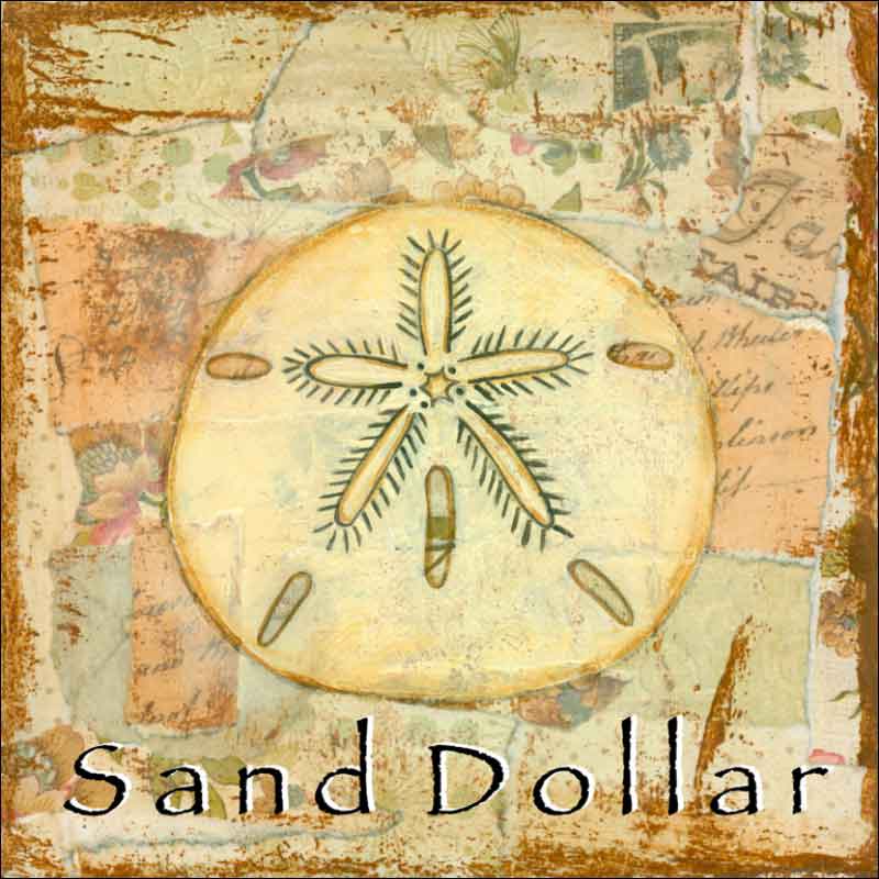 Sea Life: Sand Dollar by Bridget McKenna Ceramic Accent & Decor Tile - CCI-BRI257AT