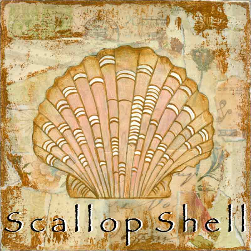 Sea Life: Scallop Shell by Bridget McKenna Ceramic Accent & Decor Tile - CCI-BRI258AT