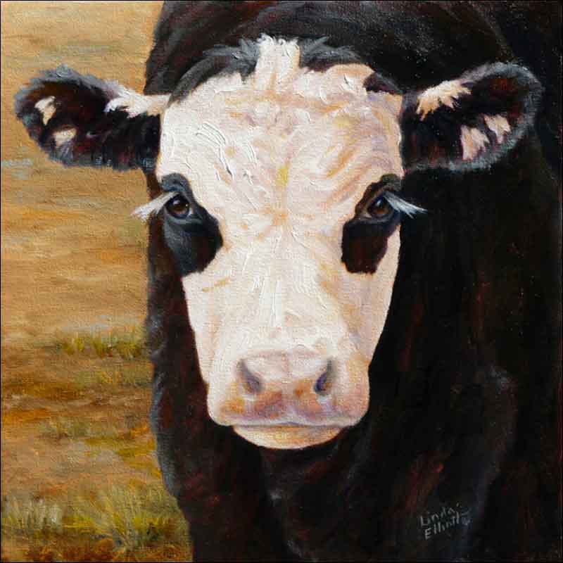 Black Baldie Calf by Linda Elliott Ceramic Accent & Decor Tile - CCI-LE204AT