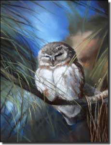 Hughbanks Owl Bird Ceramic Accent Tile 6" x 8" - DHA030AT