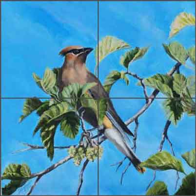 Cedar Waxwing by Diane Hughbanks Ceramic Tile Mural - DHA038