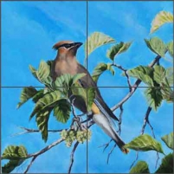 Cedar Waxwing by Diane Hughbanks Ceramic Tile Mural - DHA038
