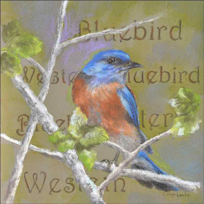 Western Bluebird by Debbie Hughbanks Ceramic Tile Mural - DHA075AT