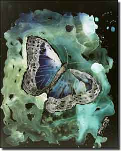 McCrea Butterfly Ceramic Accent Tile 8" x 10" - DMA042AT