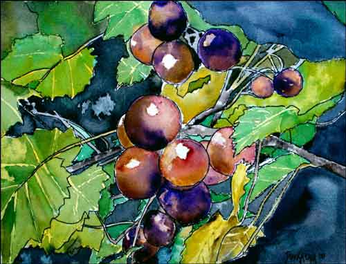 Grape Vine by Derek McCrea Ceramic Accent Tile - DMA052AT