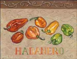 Habanero by Theresa Kasun Ceramic Accent & Decor Tile 8" x 6" - EC-TK007AT