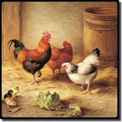 Hunt Rooster Chickens Tumbled Marble Accent Tile 6" x 6" - EH003AT