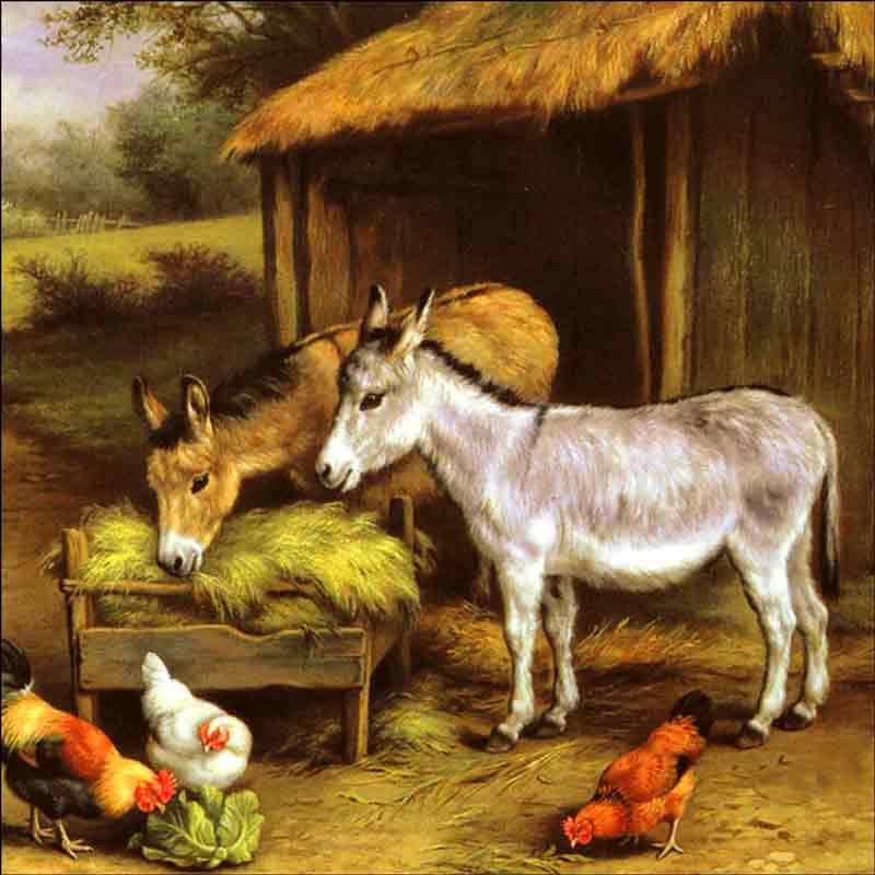 Chickens and Donkeys Feeding Outside a Stable by Edgar Hunt Ceramic Accent & Decor Tile EH005AT