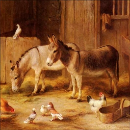 Farmyard Friends by Edgar Hunt Ceramic Accent & Decor Tile EH007AT