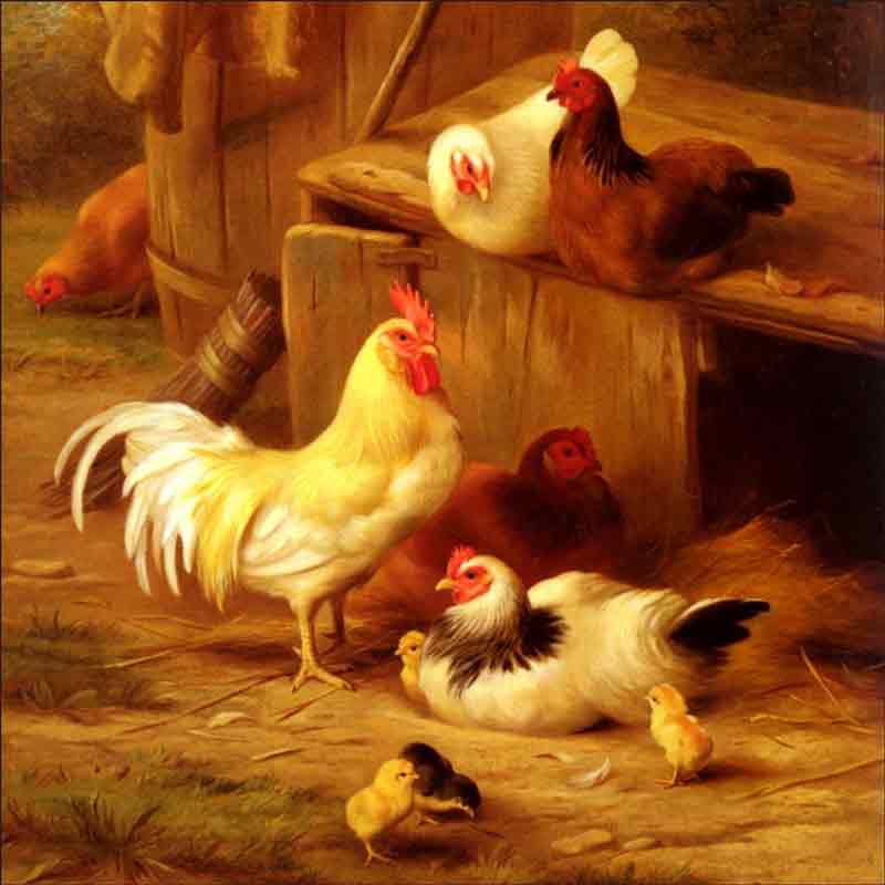 Chickens and Chicks by Edgar Hunt Ceramic Accent & Decor Tile EH010AT