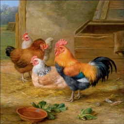 King of the Roost by Edgar Hunt Ceramic Accent & Decor Tile EH032AT