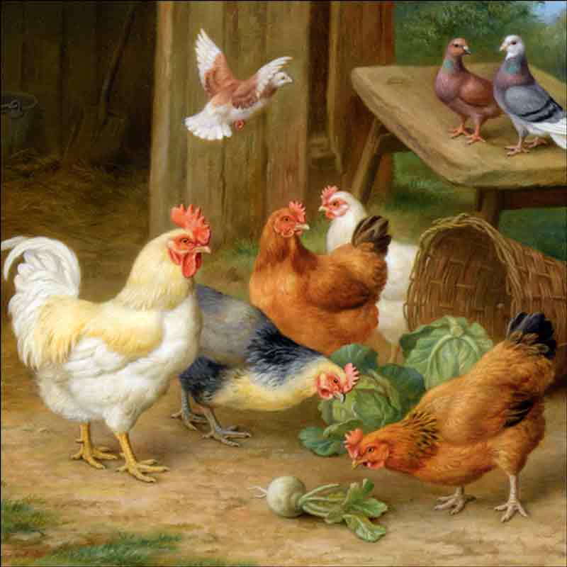 The Pecking Order by Edgar Hunt Ceramic Accent & Decor Tile EH033AT