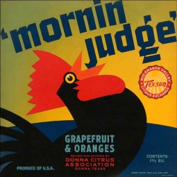 Morning Judge Ceramic Accent & Decor Tile FCL024AT