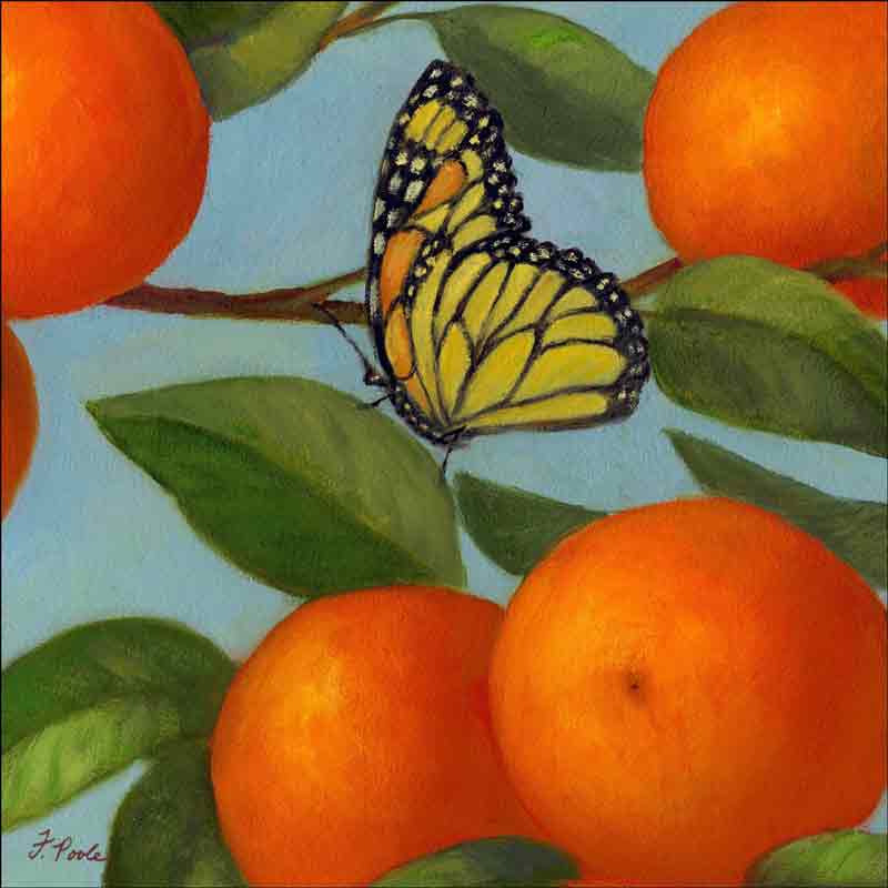 Naval Oranges (detail) by Frances Poole Ceramic Accent & Decor Tile FPA029-2AT