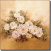 Flowers & Plants