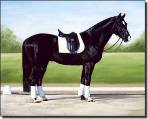 Crawford Dressage Horse Ceramic Accent Tile 10" x 8" - JCA006AT