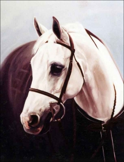 Ceramic Tile Mural Backsplash Kitchen Crawford Bay Horse Equine Art JCA002 