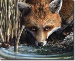 Sparks Fox Animal Ceramic Accent Tile 10" x 8" - JSA005AT