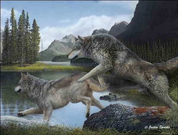 Sparks Wolf Wildlife Ceramic Accent & Decor Tile - JSA025AT