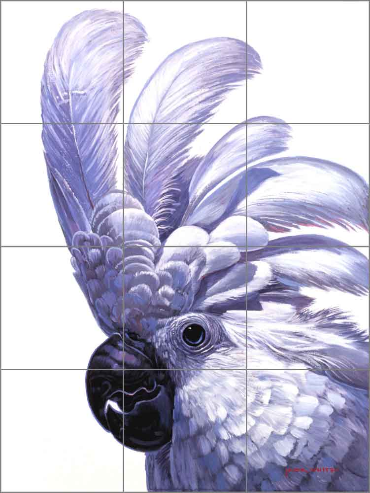 Cockatoo by Jack White Ceramic Tile Mural - JWA002