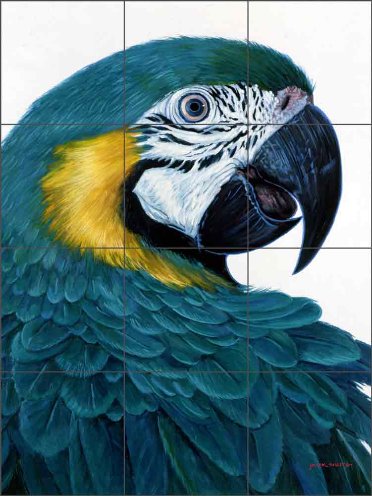 Macaw by Jack White Ceramic Tile Mural - JWA011