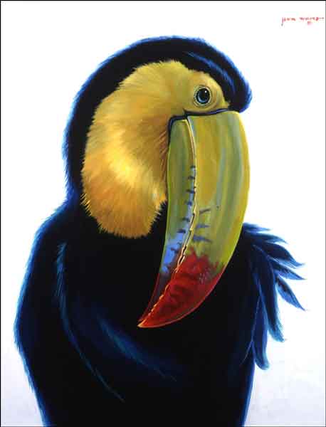 Toucan I by Jack White Ceramic Accent & Decor Tile JWA025AT