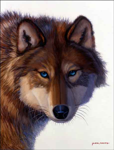 white wolf paintings