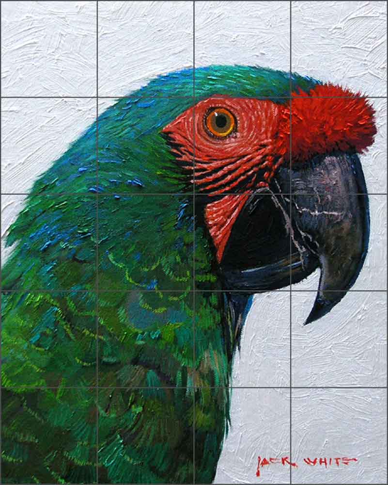 Green Parrot by Jack White Ceramic Tile Mural - JWA030