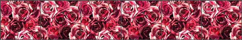 Mysak Roses Floral Strip Ceramic Tile Mural - LM2-005
