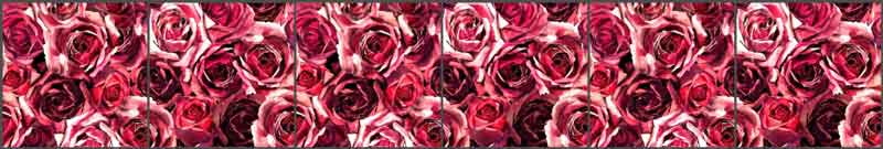 Mysak Roses Floral Strip Ceramic Tile Mural - LM2-005