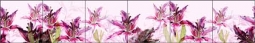 Mysak Lilies Floral Ceramic Tile Mural - LM2-009