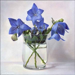 Balloon Flowers by Leslie Macon Ceramic Accent & Decor Tile - LMA020AT