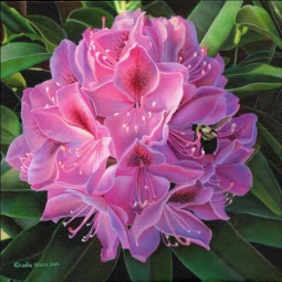 Bumblebee by Leslie Macon Ceramic Accent & Decor Tile LMA030AT