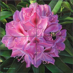 Bumblebee by Leslie Macon Ceramic Tile Mural LMA030